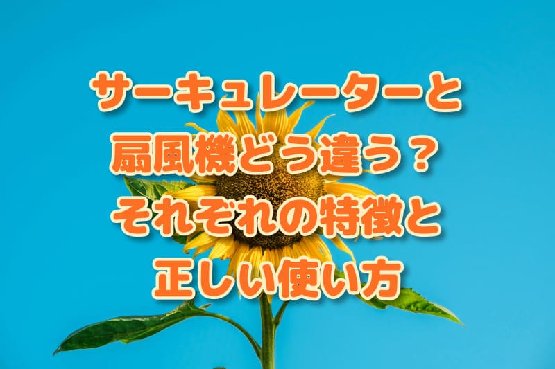 サーキュレーターと扇風機、どう違う？それぞれの特徴と正しい使い方